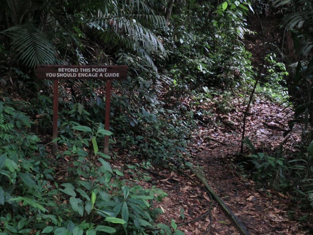 Warnschild im Dschungel