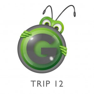 Grasshopper Travel Logo