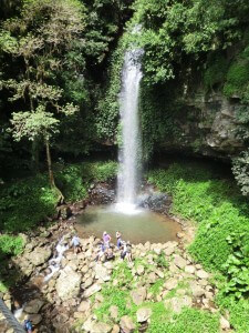 Wasserfall im Dorrigo Nationalpark